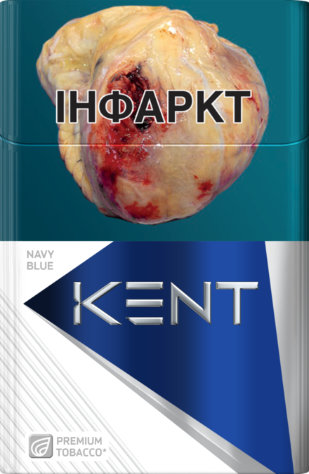 KENT NAVY BLUE