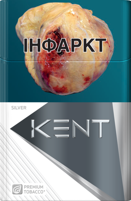 KENT SILVER